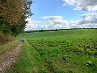 IMG_20241011_141205914_HDR