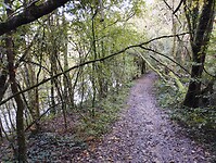 IMG_20241011_140432810