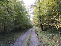 IMG_20241011_135037690