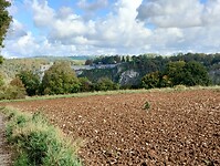 IMG_20241011_123621219_HDR