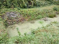 IMG_20241011_100102460