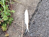 IMG_20241011_093626596