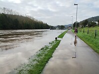 IMG_20241011_092453751