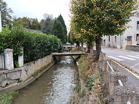 IMG_20241012_161218218