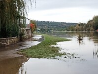 IMG_20241012_160244413