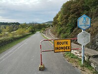 IMG_20241012_144224551