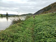 IMG_20241012_140314309