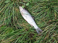 IMG_20241012_130547959