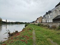 IMG_20241012_130356925