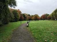 IMG_20241012_111028279