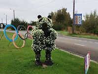 IMG_20241012_105600360