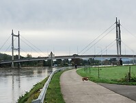 IMG_20241012_103226827