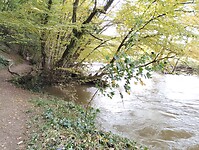 IMG_20241013_151032834
