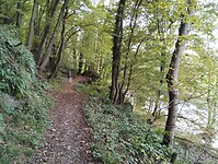 IMG_20241013_150445757