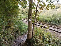 IMG_20241013_145729042