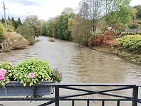 IMG_20241013_142033794