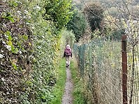 IMG_20241013_141400817