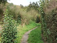 IMG_20241013_141331800
