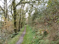 IMG_20241013_134829765
