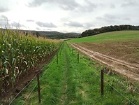 IMG_20241013_133533900