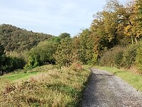 IMG_20241013_105509110