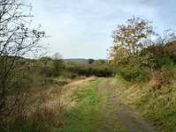 IMG_20241013_104421081_HDR