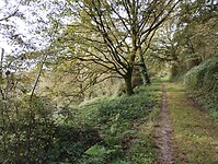 IMG_20241013_103246180