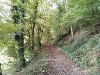 IMG_20241013_100153412