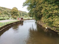 IMG_20241014_113639088