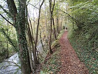 IMG_20241014_112332621