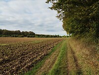 IMG_20241014_101416572