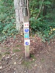 IMG_20241014_101207249