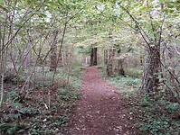 IMG_20241014_100727506