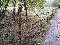 IMG_20241014_092729525_HDR