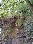 IMG_20241014_092639978