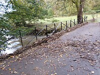 IMG_20241014_091700455