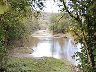 IMG_20241014_091443451