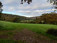 IMG_20241014_091131364_HDR