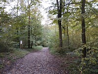 IMG_20241014_090548849