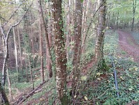 IMG_20241015_113551689