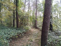 IMG_20241015_101638490