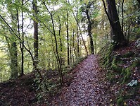 IMG_20241015_100333381
