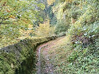 IMG_20241015_100133829_HDR