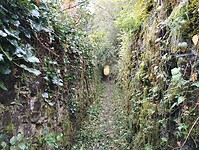 IMG_20241015_100050381