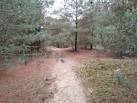 IMG_20241109_130112425