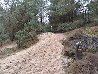 IMG_20241109_130028065