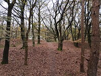 IMG_20241109_103341182