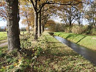IMG_20241117_141541849