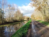 IMG_20241117_133839348