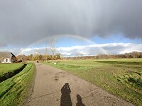 IMG_20241117_122859334